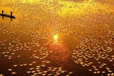 luces jigsaw puzzle