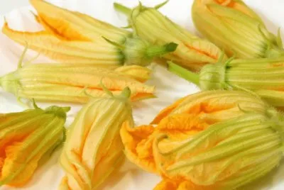 Flor de Carbaser
