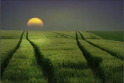 sunset jigsaw puzzle