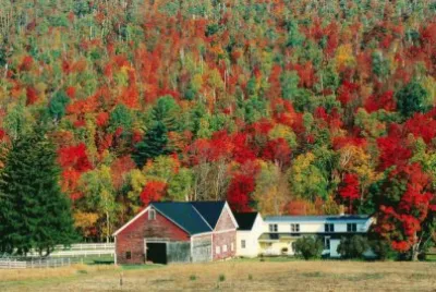 New England