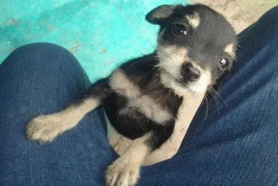 Chapis!xD