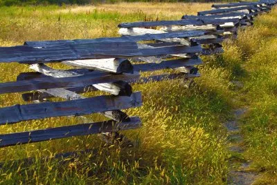 fancy fence