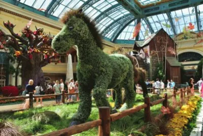 The Bellagio Conservatory, Las Vegas