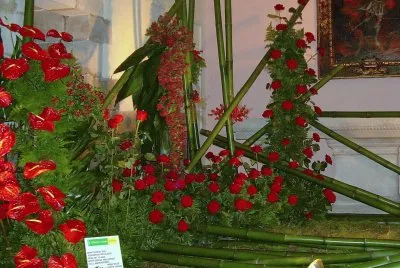Temps de Flors 2011