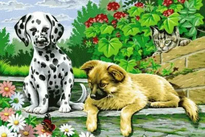image jigsaw puzzle