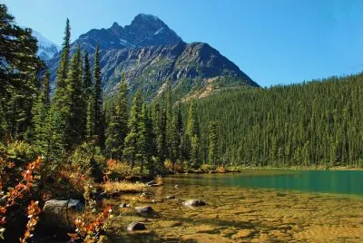 Cavell Lake, Jasper NP