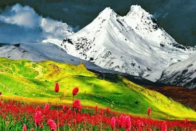 nevado