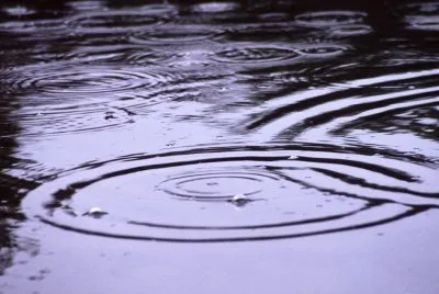 Relajante para encontrar paz interna con la naturaleza