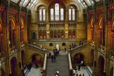 FaraÃ³n jigsaw puzzle