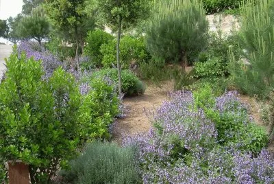 JardÃ¬