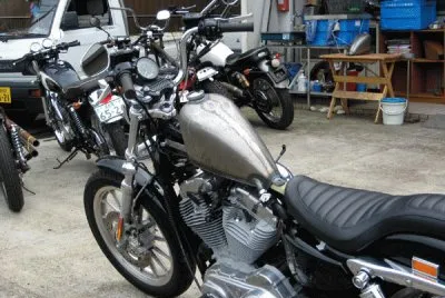 FaraÃ³n jigsaw puzzle