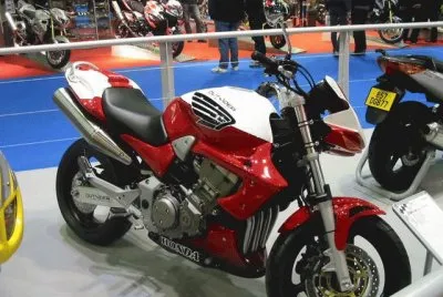 FaraÃ³n jigsaw puzzle