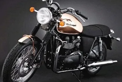 FaraÃ³n jigsaw puzzle