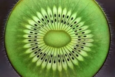 kiwi