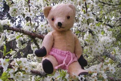 Teddy bear
