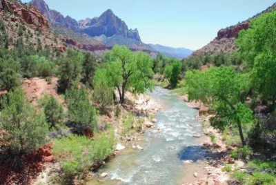 פאזל של Zion NP