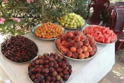 frutas