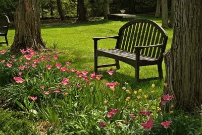 Banco no Jardim jigsaw puzzle