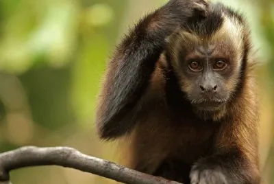 NO MOLESTAR, ESTOY PENSANDO