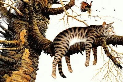 Gatos