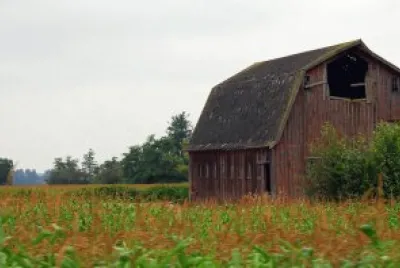 Barn