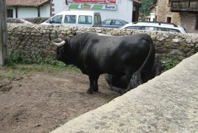 CANTABRIA