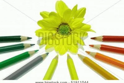 foto jigsaw puzzle