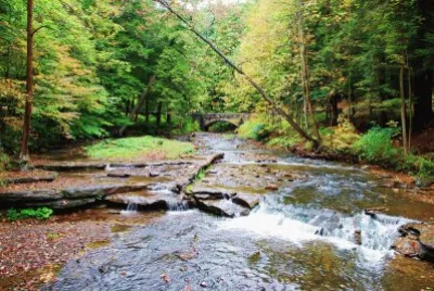 Stream