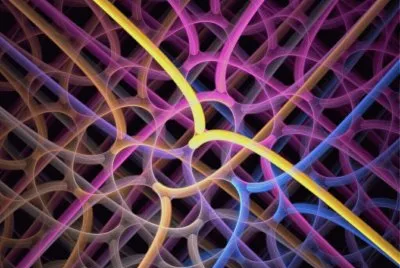 apophysis