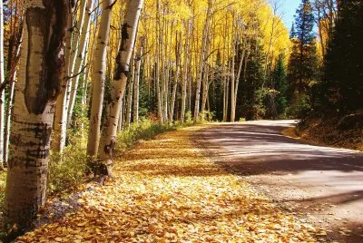 Kebler Pass, Colorado