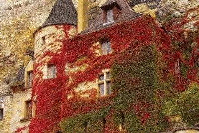 cliffside French castle jigsaw puzzle