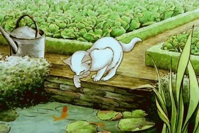 Gatos