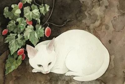 Gatos