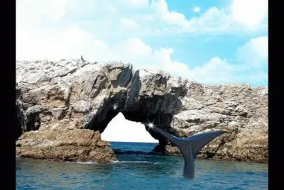 ISLAS MARIETAS