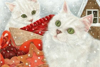 Gatos