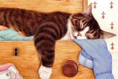Gatos