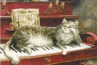Gatos