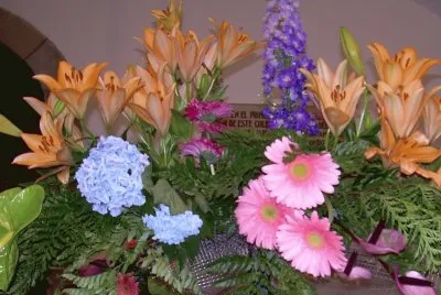Flors