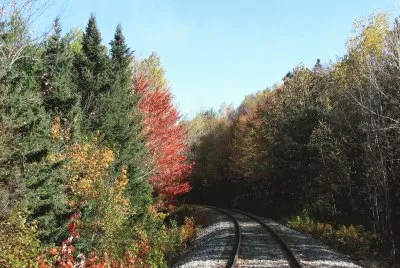 Fall colours along train tracks