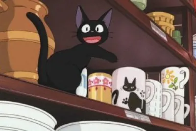 Gatos
