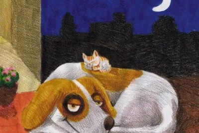Gatos