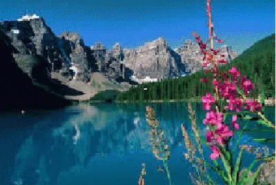 natureza