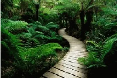 natureza