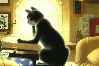 Gatos