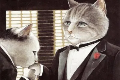 Gatos