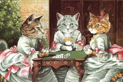Gatos