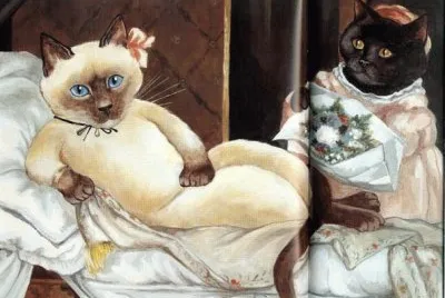 Gatos