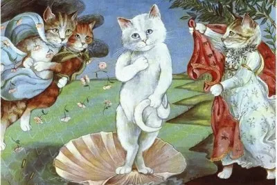 Gatos