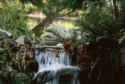 Judy 's Water Fall, Vancouver Island, BC, Canada