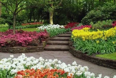 escada no jardim